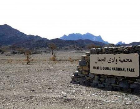 %d9%81%d9%81%d9%81%d9%8118