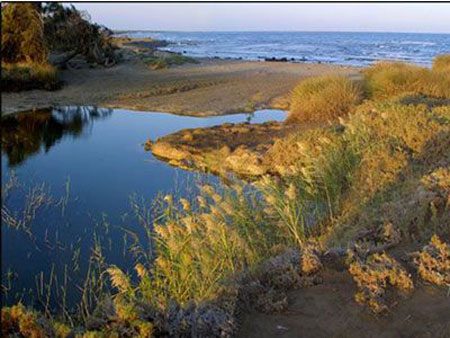 %d9%81%d9%81%d9%81%d9%81%d9%8118