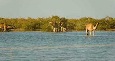 %d9%81%d9%81%d9%81%d9%81%d9%81%d9%81%d9%8118