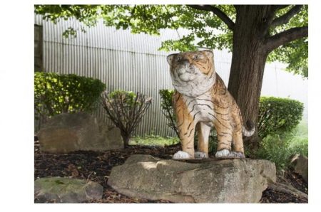 %d8%ad%d8%ad%d8%ad%d8%ad16