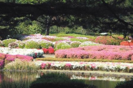 %d8%ac%d8%ac%d8%ac12