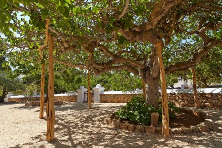 %d8%ad%d8%ad%d8%ad%d8%ad%d8%ad%d8%ad%d8%ad13