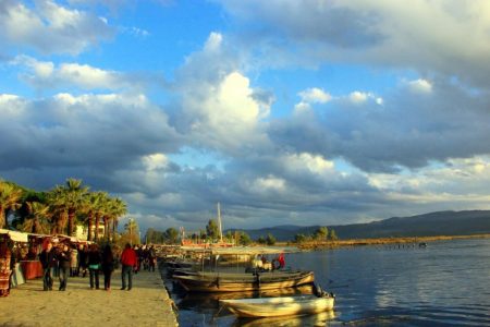 %d8%af%d8%af%d8%af%d8%af%d8%af%d8%af14