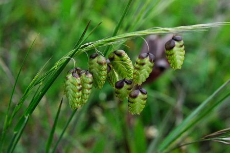 %d8%ba%d8%ba%d8%ba%d8%ba%d8%ba%d8%ba%d8%ba%d8%ba16