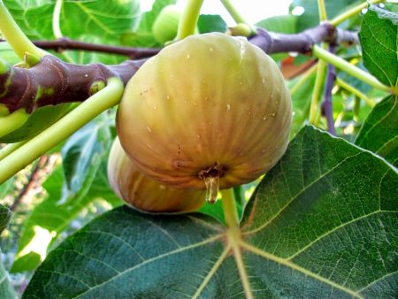 %d8%ba%d8%ba%d8%ba%d8%ba16