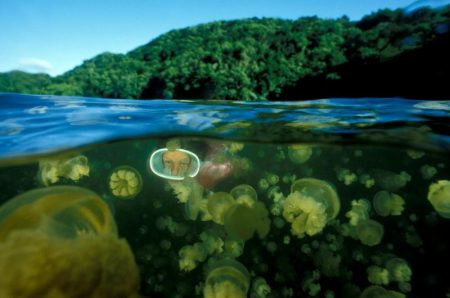 %d8%ba%d8%ba%d8%ba16