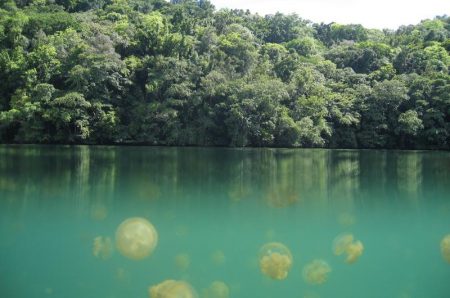 %d8%ba%d8%ba%d8%ba%d8%ba16