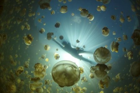 %d8%ba%d8%ba%d8%ba%d8%ba%d8%ba%d8%ba%d8%ba16