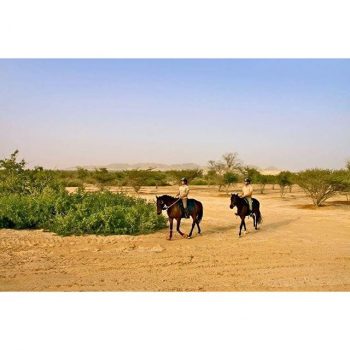 %d9%83%d9%83%d9%8319