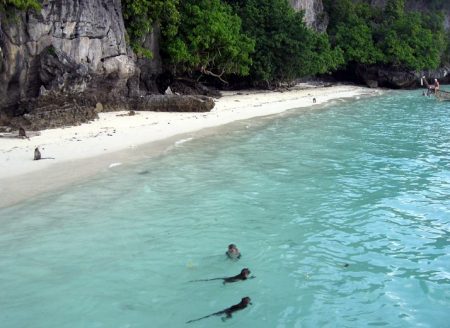 %d8%a7%d8%a7%d8%a7%d8%a7%d8%a7%d8%a72