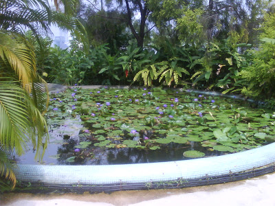 %d9%85%d9%85%d9%85%d9%8519