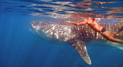 %d9%83%d9%83%d9%83%d9%8316