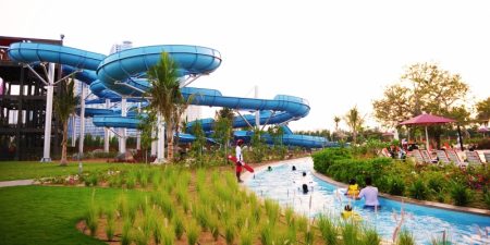 %d8%a8%d8%a8%d8%a8%d8%a83