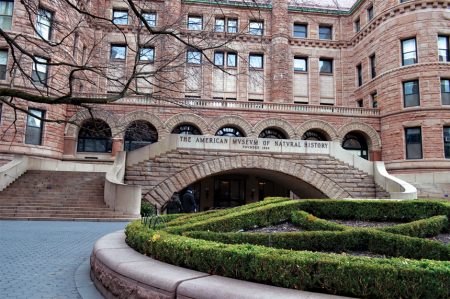 %d9%86%d9%86%d9%8620