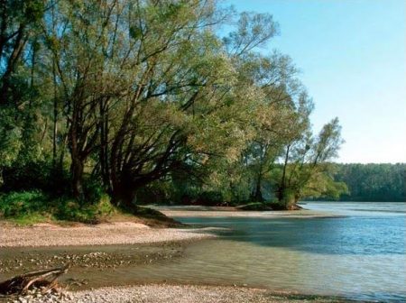 %d8%b0%d8%b0%d8%b0%d8%b012