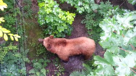 %d8%af%d8%af%d8%af%d8%af%d8%af10