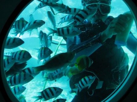 %d9%88%d9%88%d9%88%d9%8819