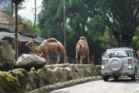 %d8%b9%d8%b9%d8%b9%d8%b9%d8%b914