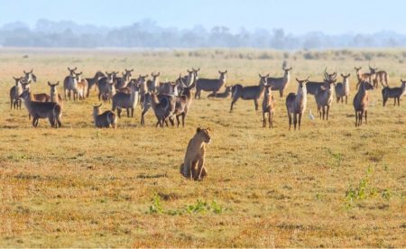 %d9%82%d9%82%d9%8217