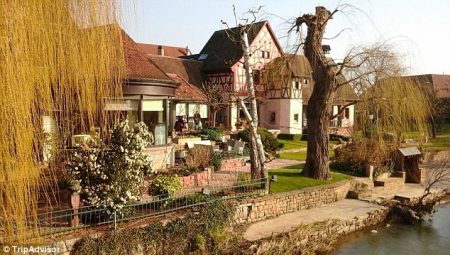 %d8%a8%d8%a8%d8%a8%d8%a8%d8%a8%d8%a8%d8%a83