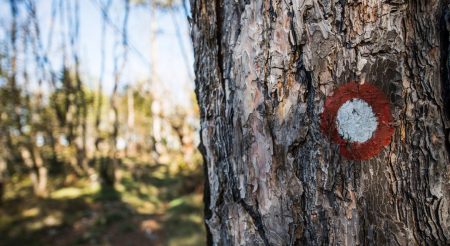 %d8%a8%d8%a8%d8%a8%d8%a8%d8%a8%d8%a84