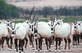 %d8%ba%d8%ba%d8%ba%d8%ba%d8%ba%d8%ba%d8%ba%d8%ba%d8%ba%d8%ba%d8%ba%d8%ba%d8%ba13