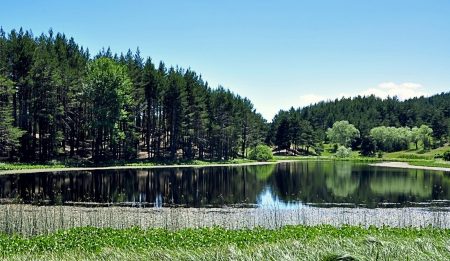 %d9%81%d9%81%d9%81%d9%8114