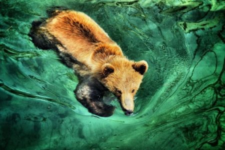 %d8%aa%d8%aa%d8%aa%d8%aa9