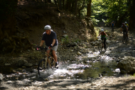 %d8%ac%d8%ac%d8%ac10