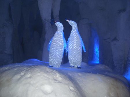 %d9%83%d9%83%d9%83%d9%83%d9%83%d9%83%d9%83%d9%83%d9%83%d9%83%d9%8317