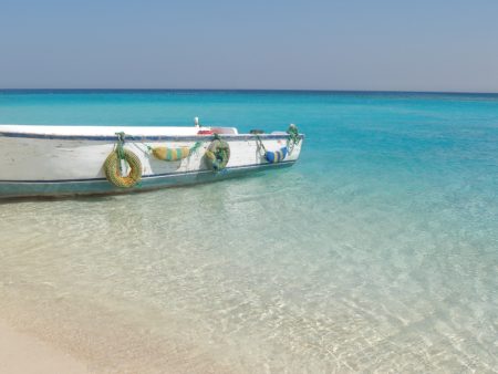 %d9%81%d9%81%d9%81%d9%81%d9%81%d9%81%d9%81%d9%81%d9%81%d9%81%d9%81%d9%81%d9%81%d9%81%d9%81%d9%8115