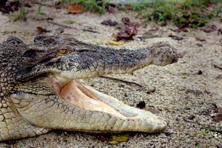 %d9%84%d9%84%d9%84%d9%84%d9%84%d9%8417