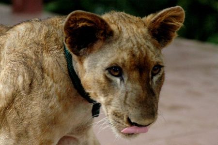 %d9%84%d9%84%d9%84%d9%84%d9%84%d9%84%d9%8417