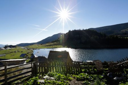 %d8%b9%d8%b9%d8%b917