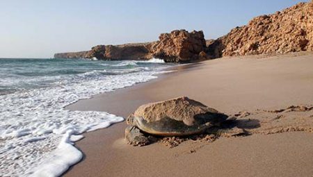 %d8%ba%d8%ba%d8%ba%d8%ba%d8%ba%d8%ba%d8%ba%d8%ba%d8%ba%d8%ba%d8%ba%d8%ba%d8%ba%d8%ba%d8%ba%d8%ba%d8%ba18