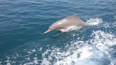 %d9%81%d9%81%d9%81%d9%81%d9%81%d9%81%d9%81%d9%81%d9%81%d9%8119