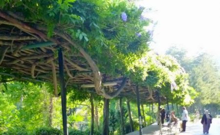 %d8%ad%d8%ad%d8%ad%d8%ad13