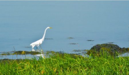 %d9%85%d9%85%d9%85%d9%8519