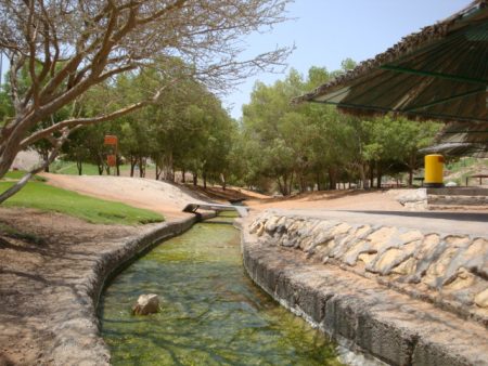 %d9%85%d9%85%d9%8519