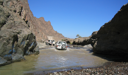 %d9%81%d9%81%d9%81%d9%8117