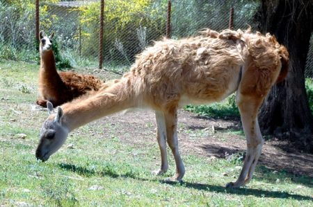 %d9%81%d9%81%d9%81%d9%81%d9%81%d9%81%d9%8115