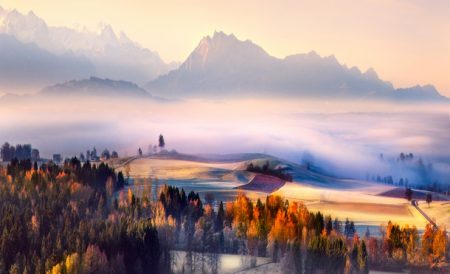 %d8%ae%d8%ae%d8%ae%d8%ae16