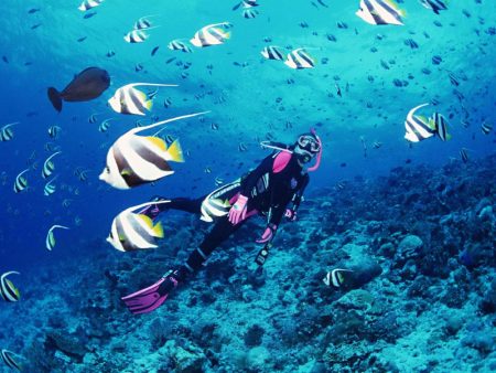 %d8%ad%d8%ad%d8%ad%d8%ad%d8%ad8