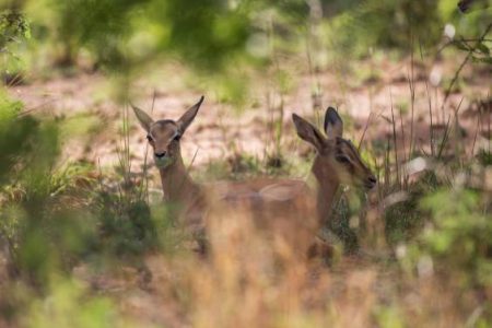 %d8%b9%d8%b9%d8%b910