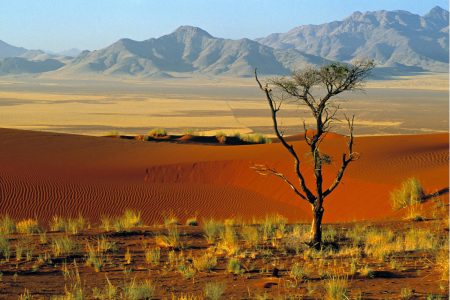 Small boat and buildings reflecting on the Adriatic Sea at sunrise, Rovigno, Croatia