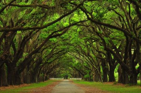 %d8%ab%d8%ab%d8%ab%d8%ab%d8%ab%d8%ab%d8%ab7