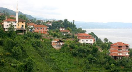 %d8%aa%d8%aa%d8%aa12