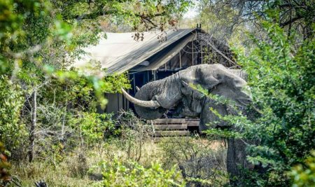 %d8%ae%d8%ae%d8%ae16