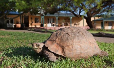 %d8%ae%d8%ae%d8%ae%d8%ae%d8%ae%d8%ae16