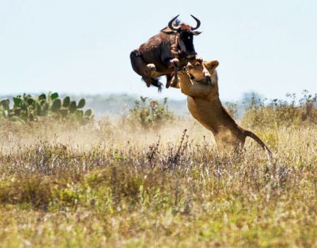 %d8%ae%d8%ae%d8%ae%d8%ae%d8%ae%d8%ae%d8%ae%d8%ae%d8%ae%d8%ae%d8%ae16